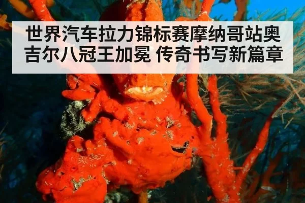 世界汽车拉力锦标赛摩纳哥站奥吉尔八冠王加冕 传奇书写新篇章